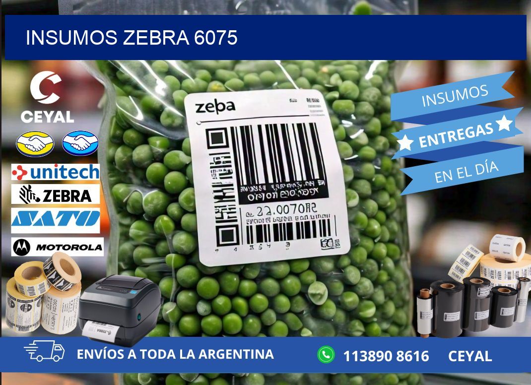 INSUMOS ZEBRA 6075
