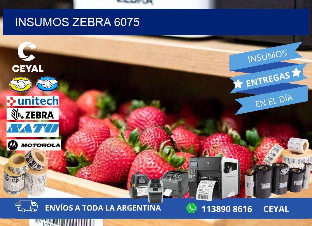 INSUMOS ZEBRA 6075