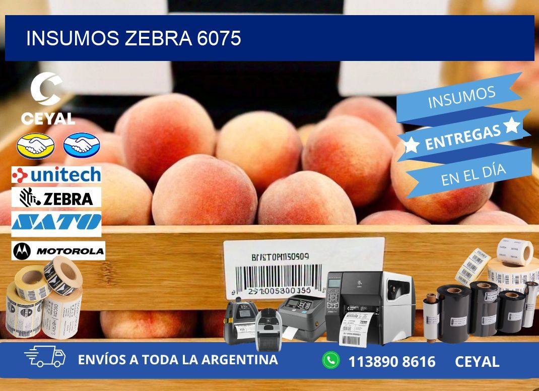 INSUMOS ZEBRA 6075