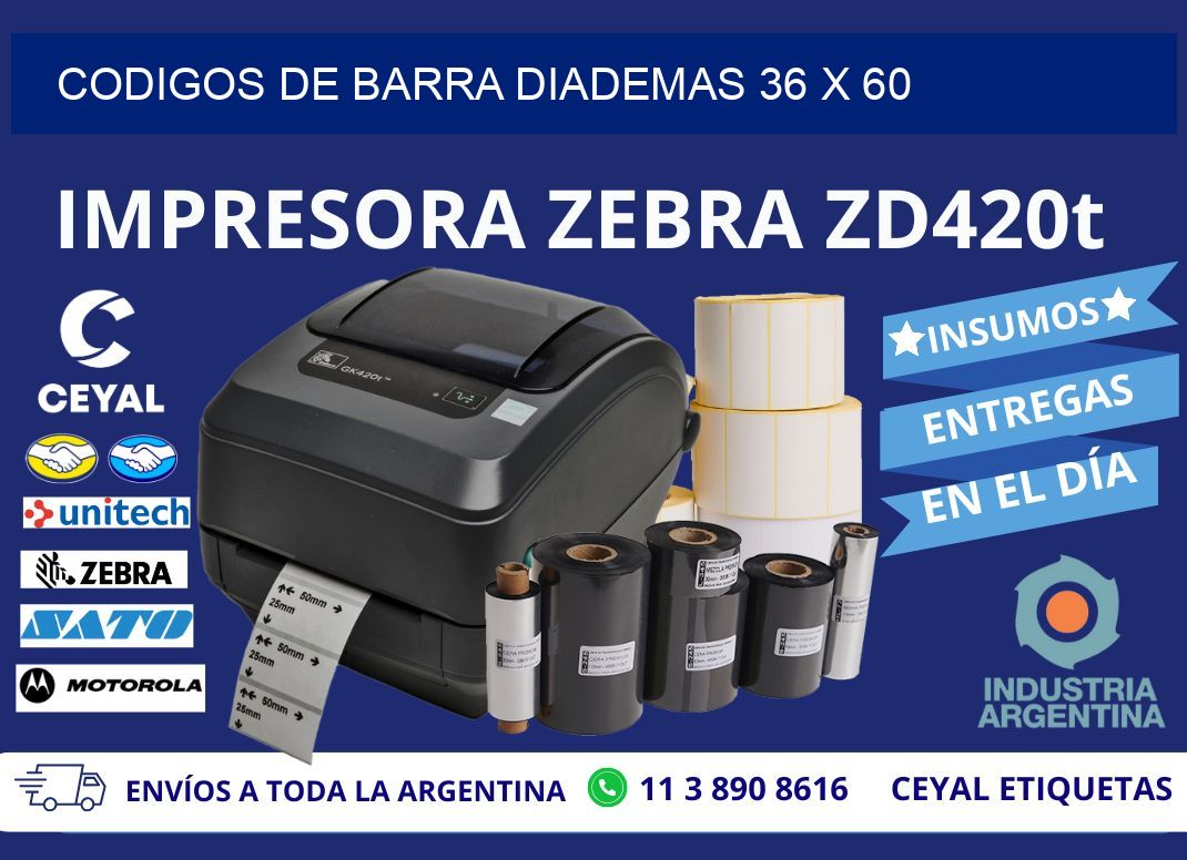 CODIGOS DE BARRA DIADEMAS 36 x 60