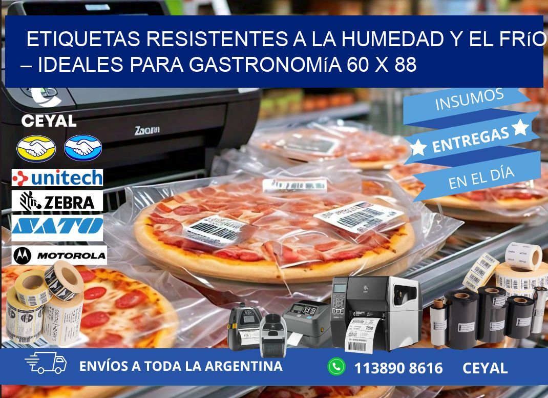 Etiquetas resistentes a la humedad y el frío – Ideales para gastronomía 60 x 88