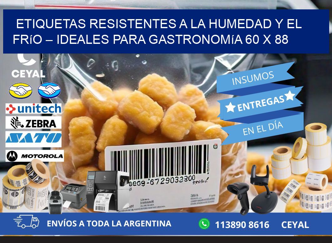 Etiquetas resistentes a la humedad y el frío – Ideales para gastronomía 60 x 88