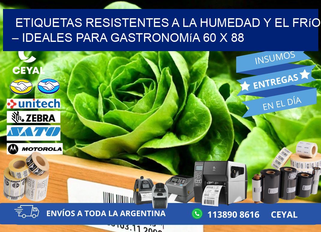 Etiquetas resistentes a la humedad y el frío – Ideales para gastronomía 60 x 88