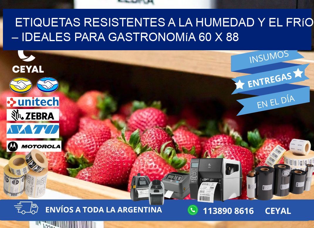 Etiquetas resistentes a la humedad y el frío – Ideales para gastronomía 60 x 88