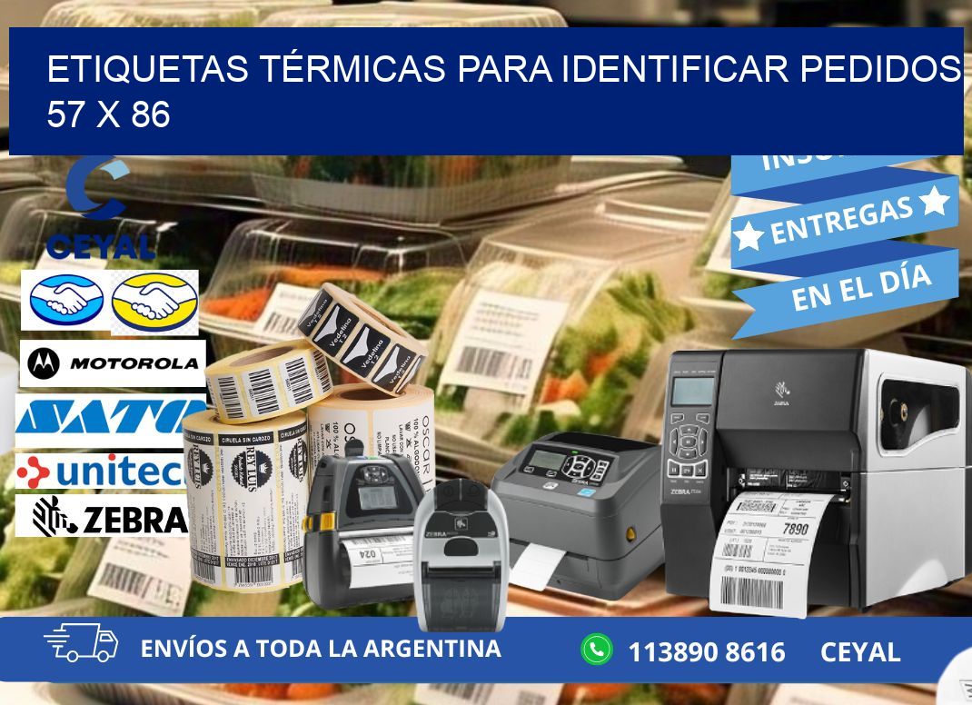 ETIQUETAS TÉRMICAS PARA IDENTIFICAR PEDIDOS 57 x 86