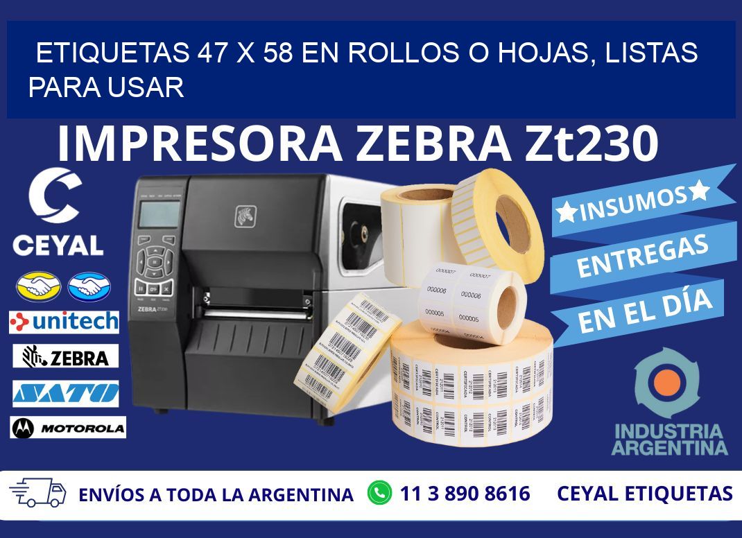 Etiquetas 47 x 58 en Rollos o Hojas, Listas para Usar