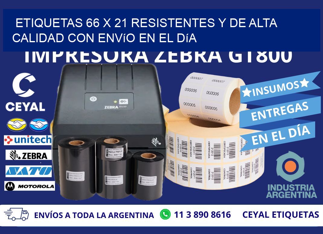 Etiquetas 66 x 21 Resistentes y de Alta Calidad con Envío en el Día