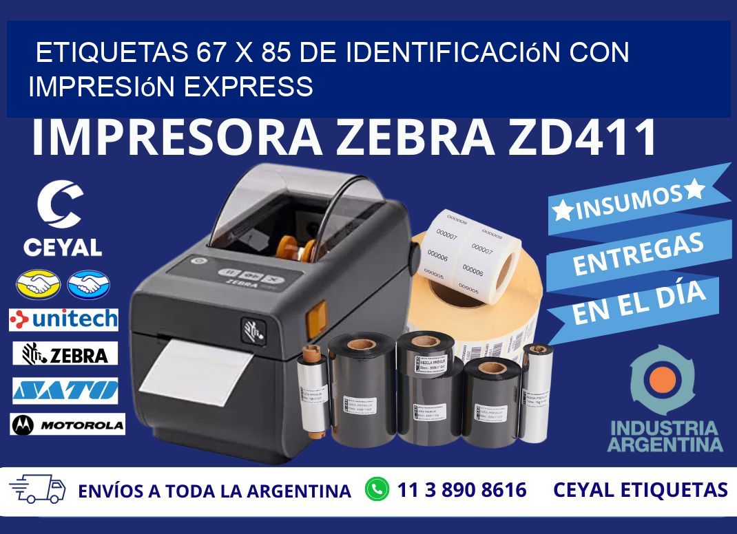Etiquetas 67 x 85 de Identificación con Impresión Express