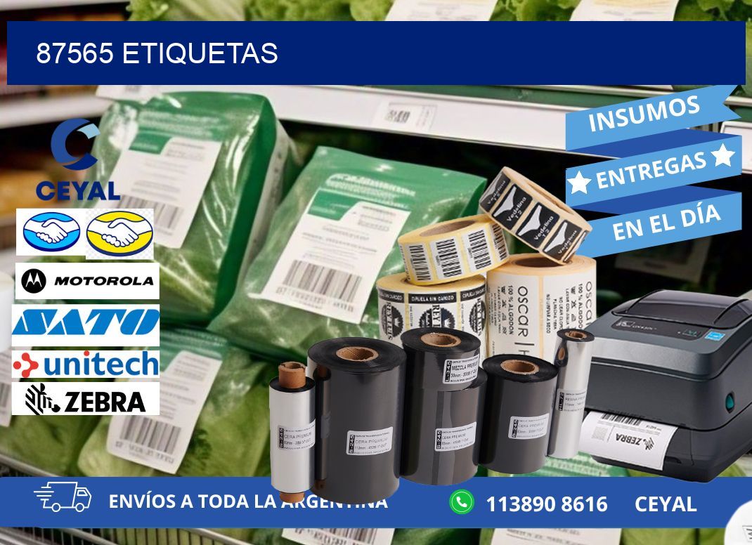 87565 ETIQUETAS