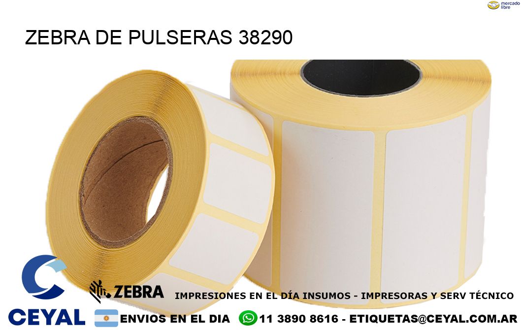 ZEBRA DE PULSERAS 38290