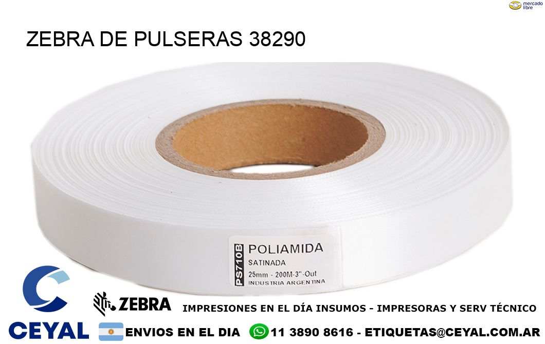 ZEBRA DE PULSERAS 38290