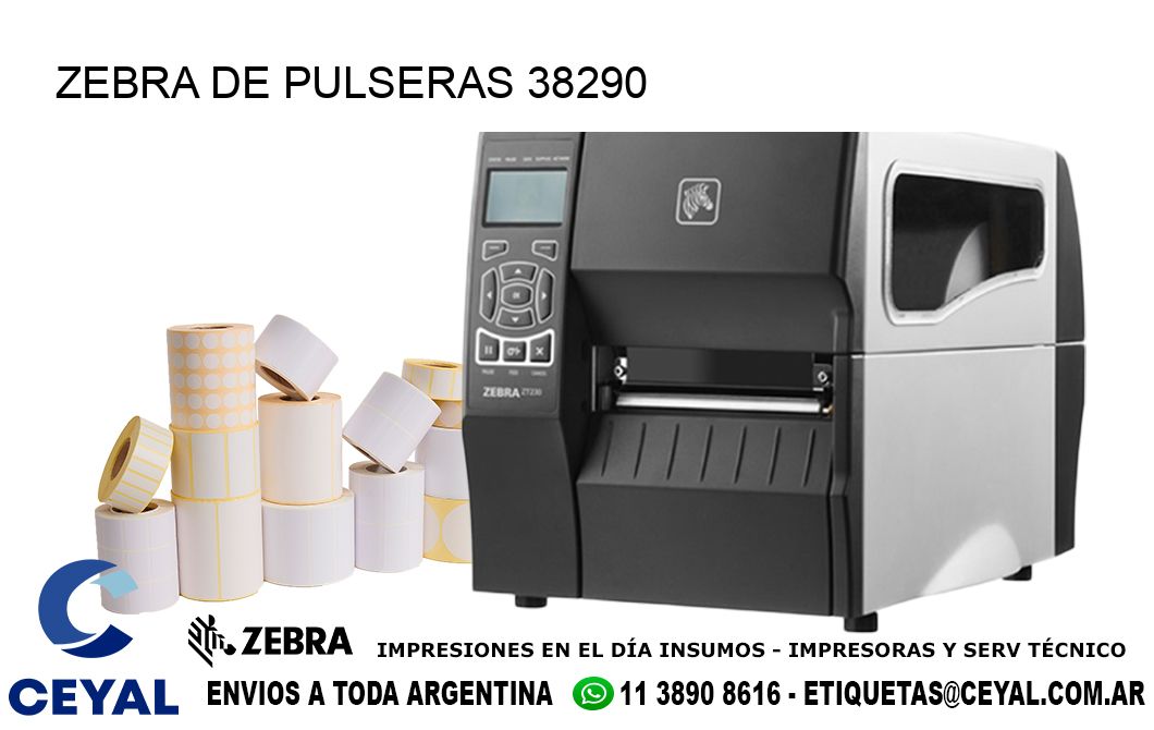 ZEBRA DE PULSERAS 38290