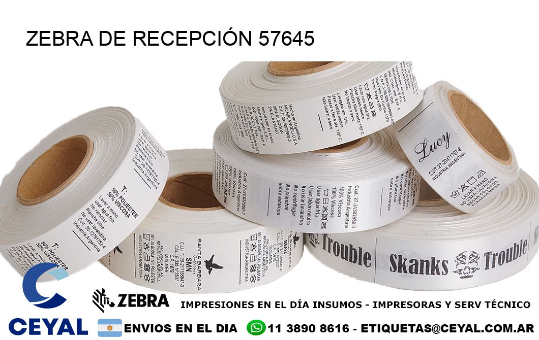 ZEBRA DE RECEPCIÓN 57645