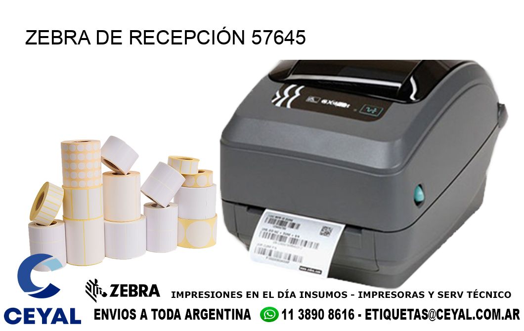 ZEBRA DE RECEPCIÓN 57645