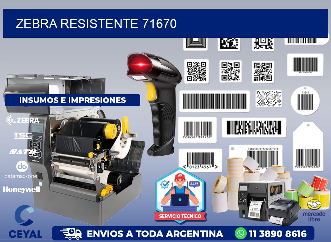 ZEBRA RESISTENTE 71670