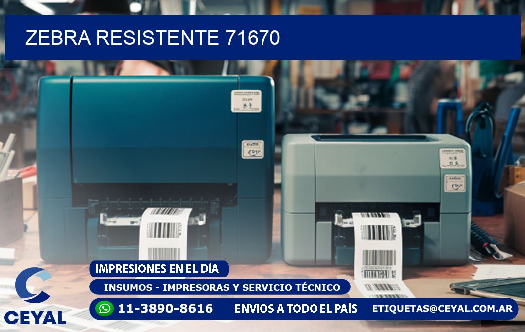 ZEBRA RESISTENTE 71670
