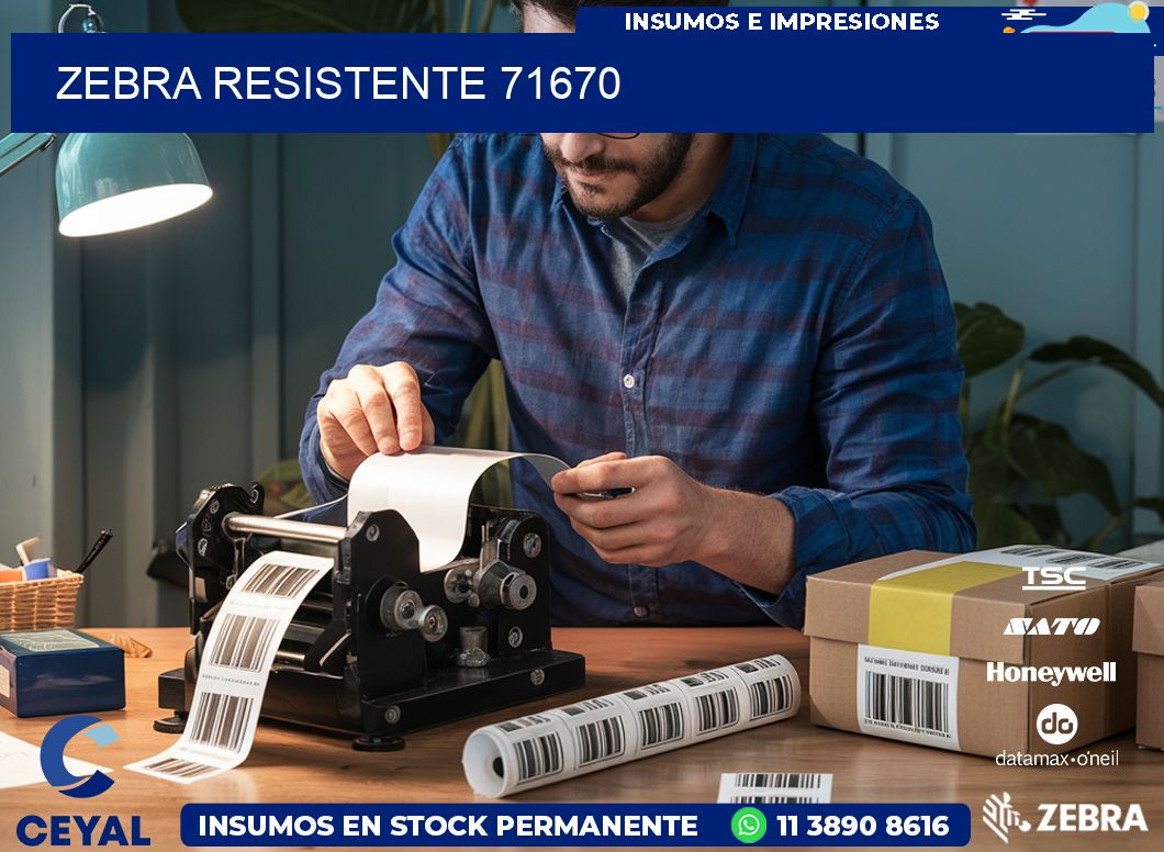 ZEBRA RESISTENTE 71670