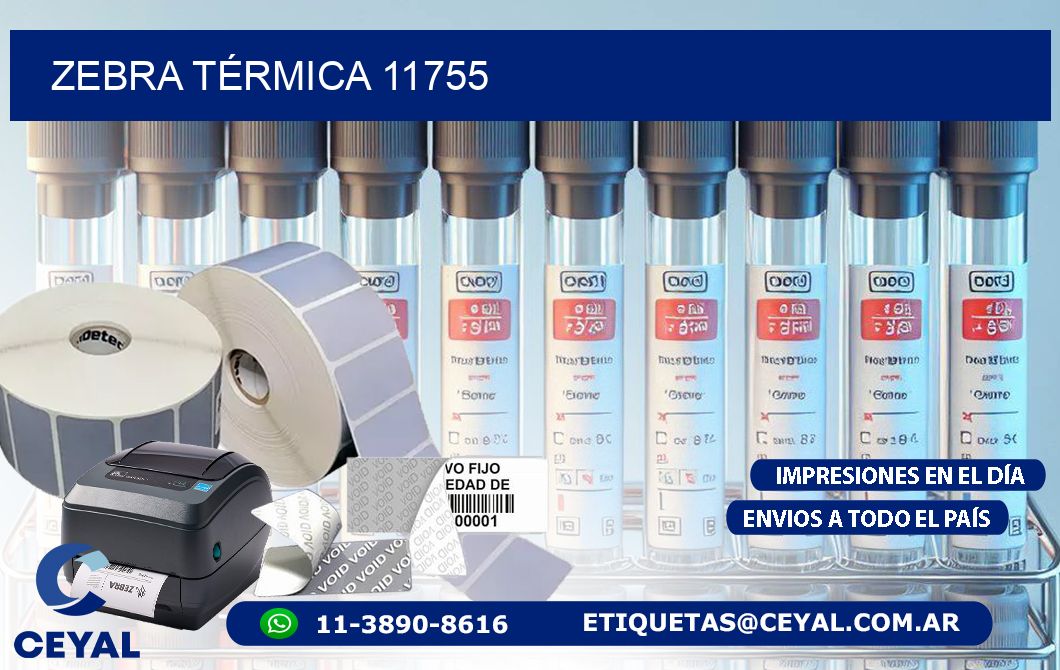 ZEBRA TÉRMICA 11755