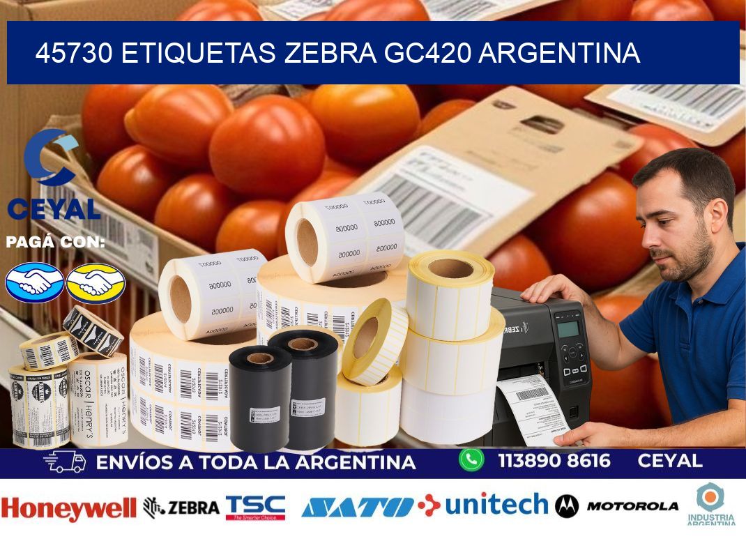 45730 etiquetas zebra gc420 argentina