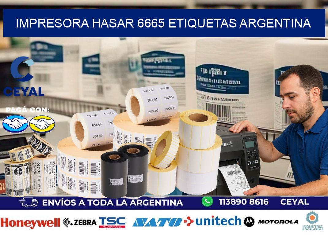 Impresora hasar 6665 etiquetas argentina