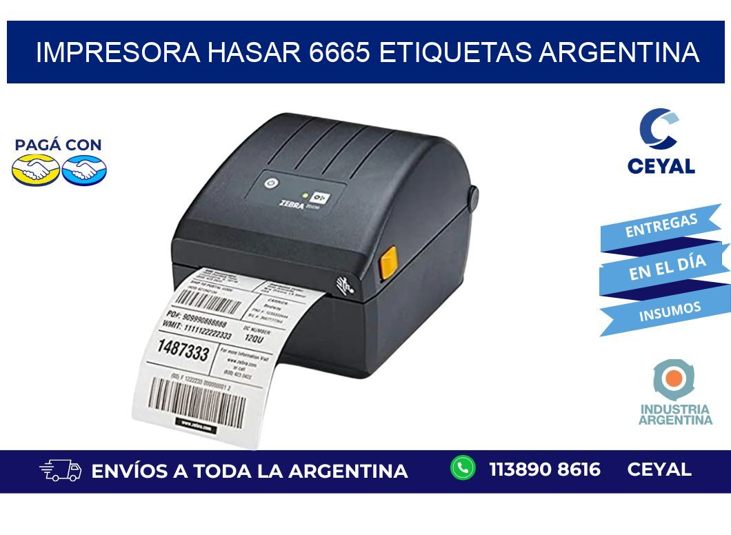 Impresora hasar 6665 etiquetas argentina