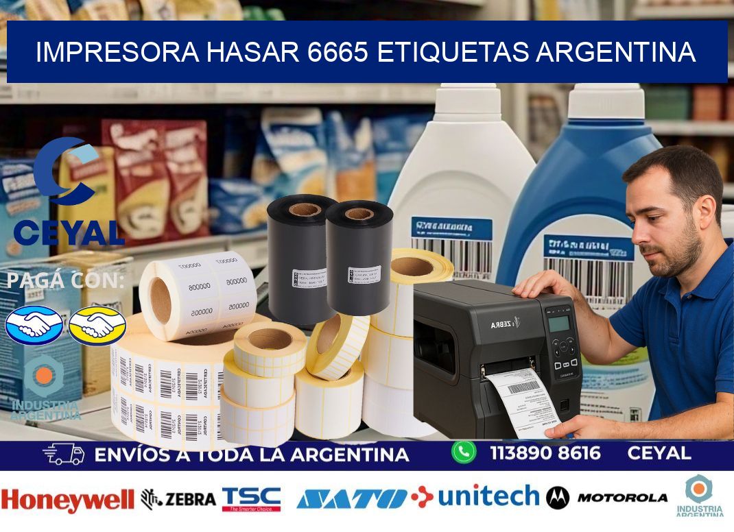 Impresora hasar 6665 etiquetas argentina