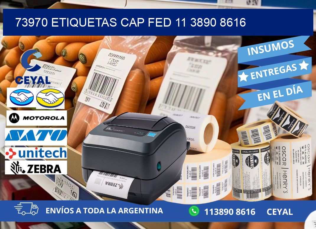73970 ETIQUETAS CAP FED 11 3890 8616