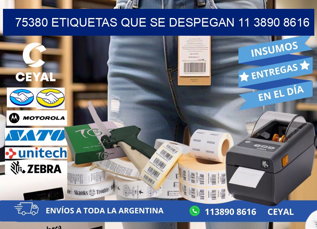 75380 ETIQUETAS QUE SE DESPEGAN 11 3890 8616