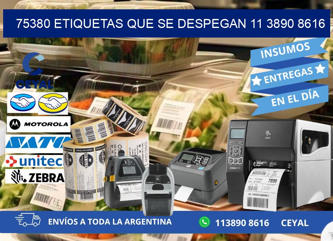 75380 ETIQUETAS QUE SE DESPEGAN 11 3890 8616