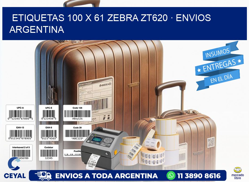 ETIQUETAS 100 x 61 ZEBRA ZT620 · ENVIOS ARGENTINA