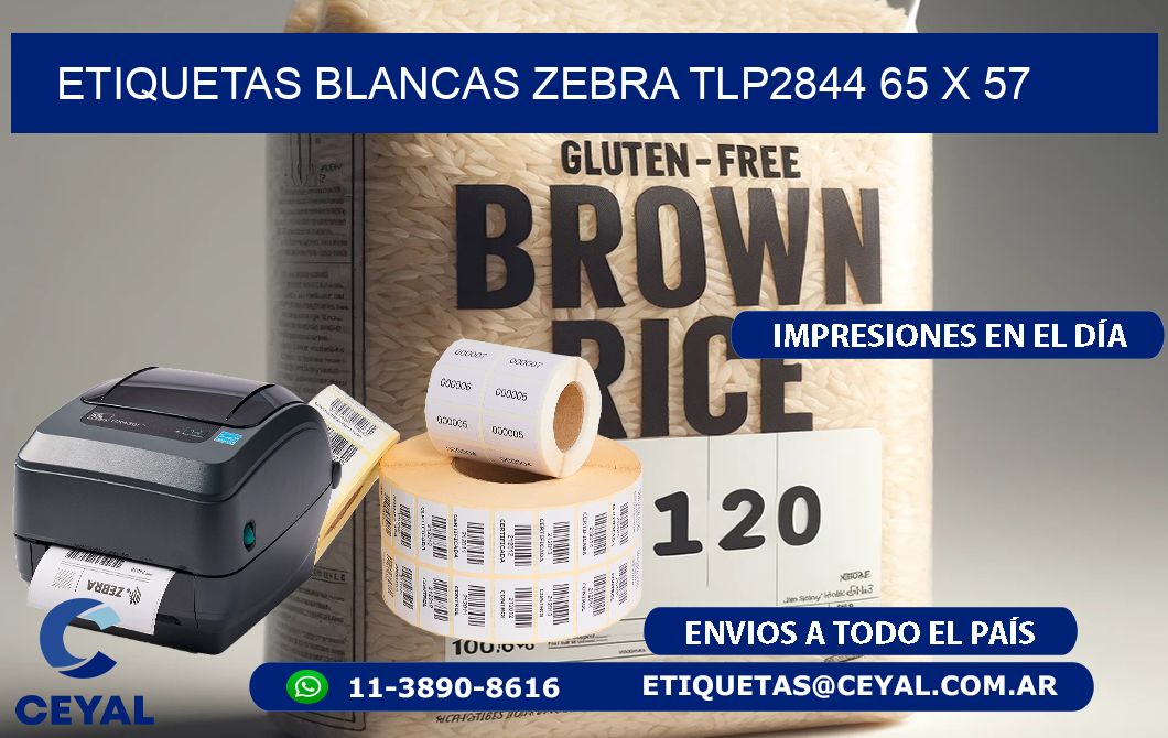 ETIQUETAS BLANCAS ZEBRA TLP2844 65 x 57