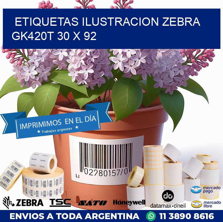ETIQUETAS ILUSTRACION ZEBRA GK420T 30 x 92