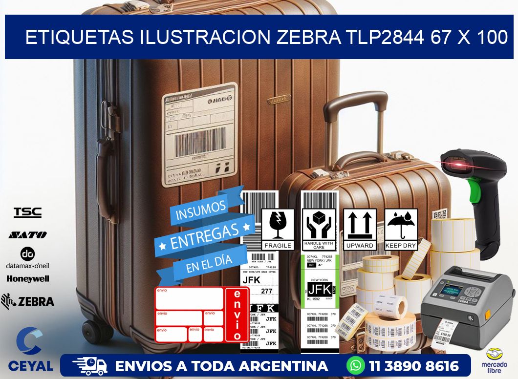 ETIQUETAS ILUSTRACION ZEBRA TLP2844 67 x 100