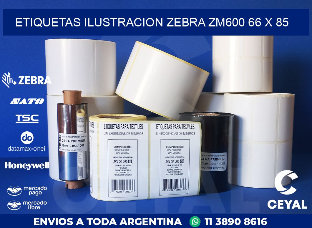 ETIQUETAS ILUSTRACION ZEBRA ZM600 66 x 85