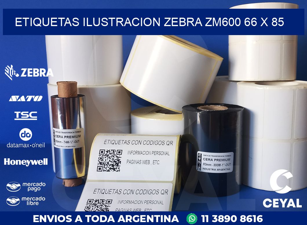 ETIQUETAS ILUSTRACION ZEBRA ZM600 66 x 85