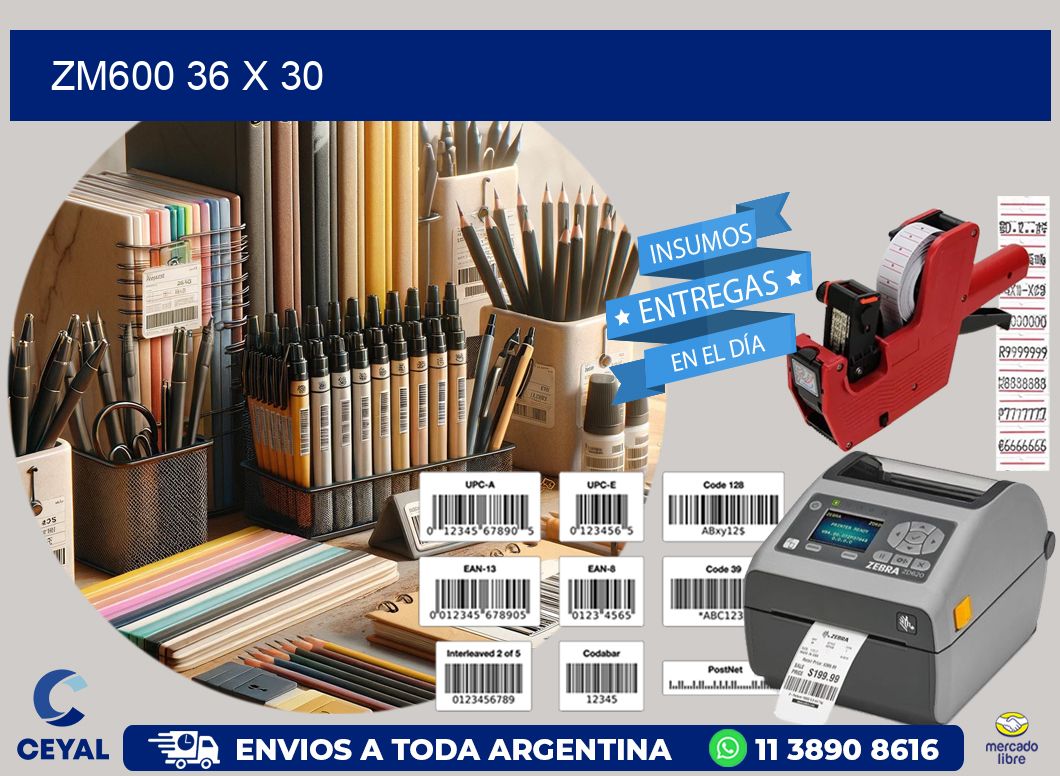ZM600 36 x 30