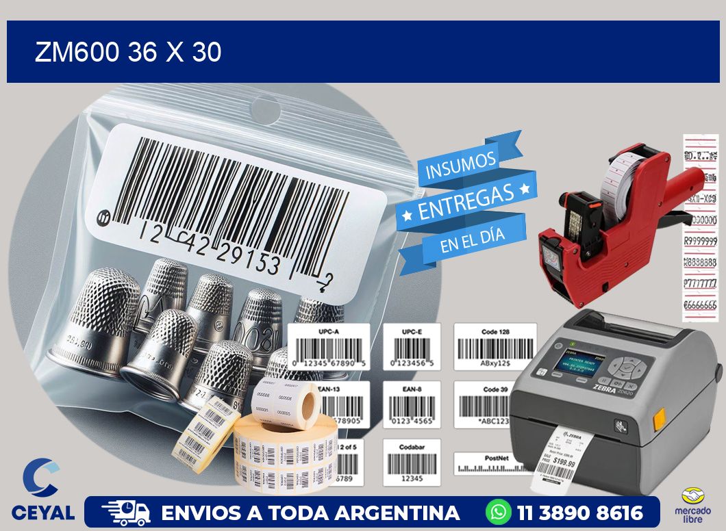 ZM600 36 x 30