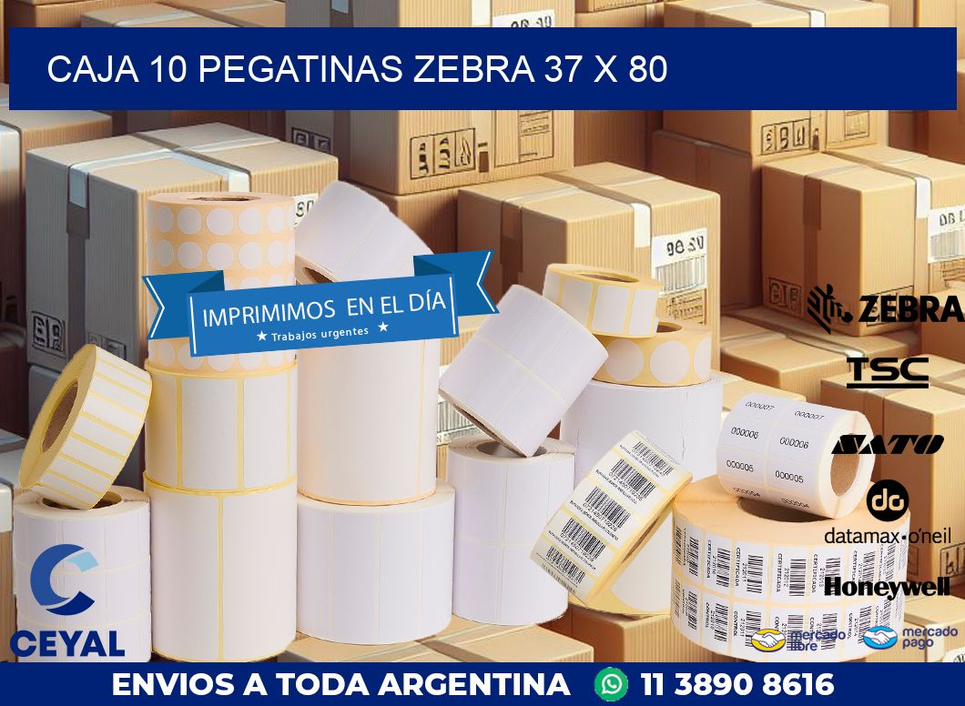 CAJA 10 PEGATINAS ZEBRA 37 x 80