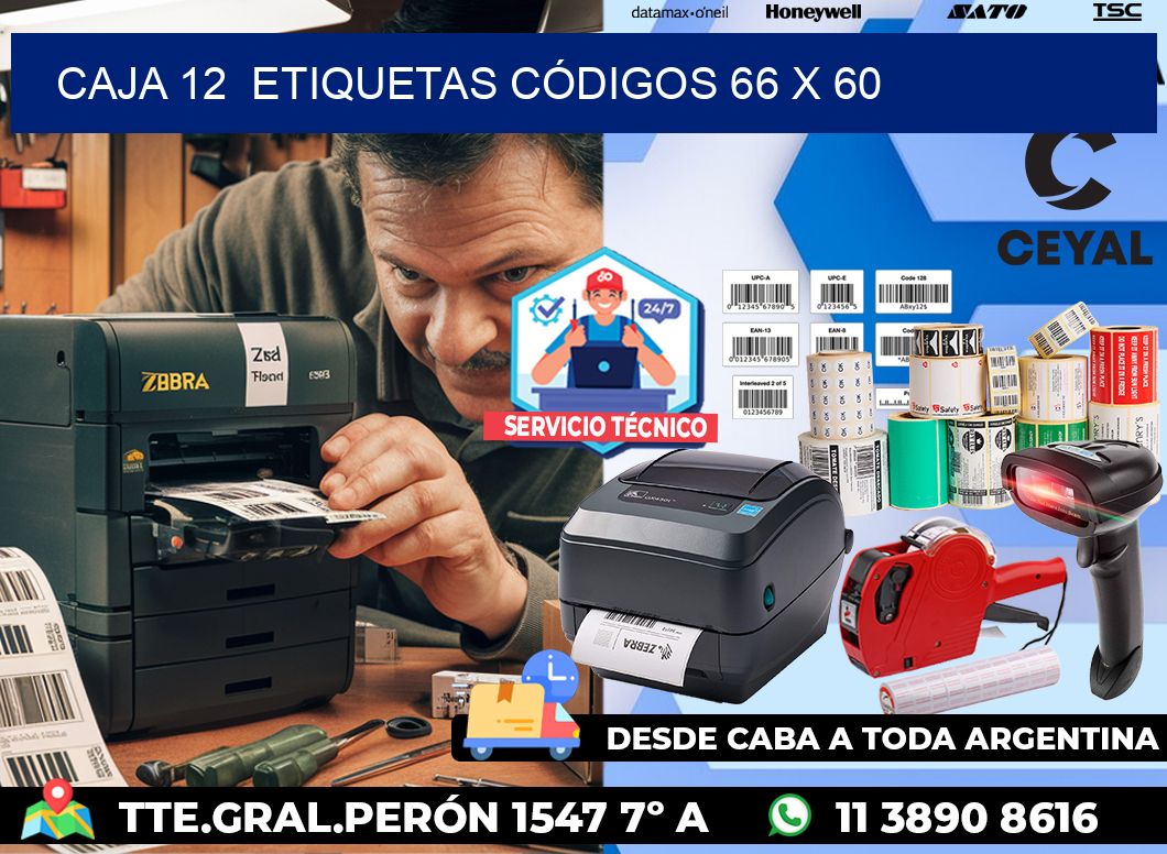 CAJA 12  ETIQUETAS CÓDIGOS 66 x 60