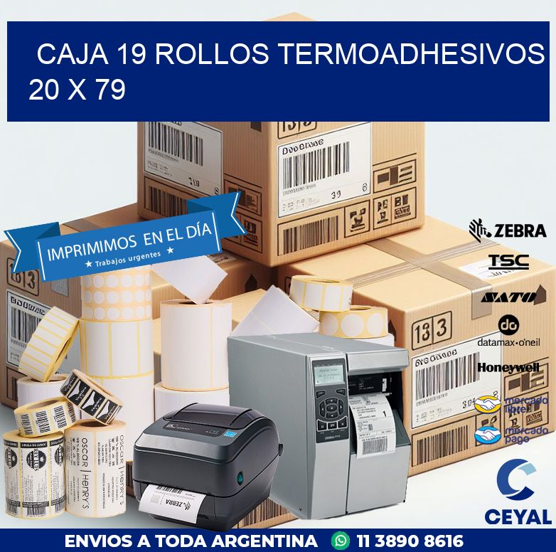 CAJA 19 ROLLOS TERMOADHESIVOS 20 x 79