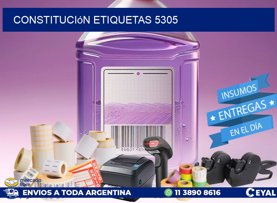 Constitución etiquetas 5305