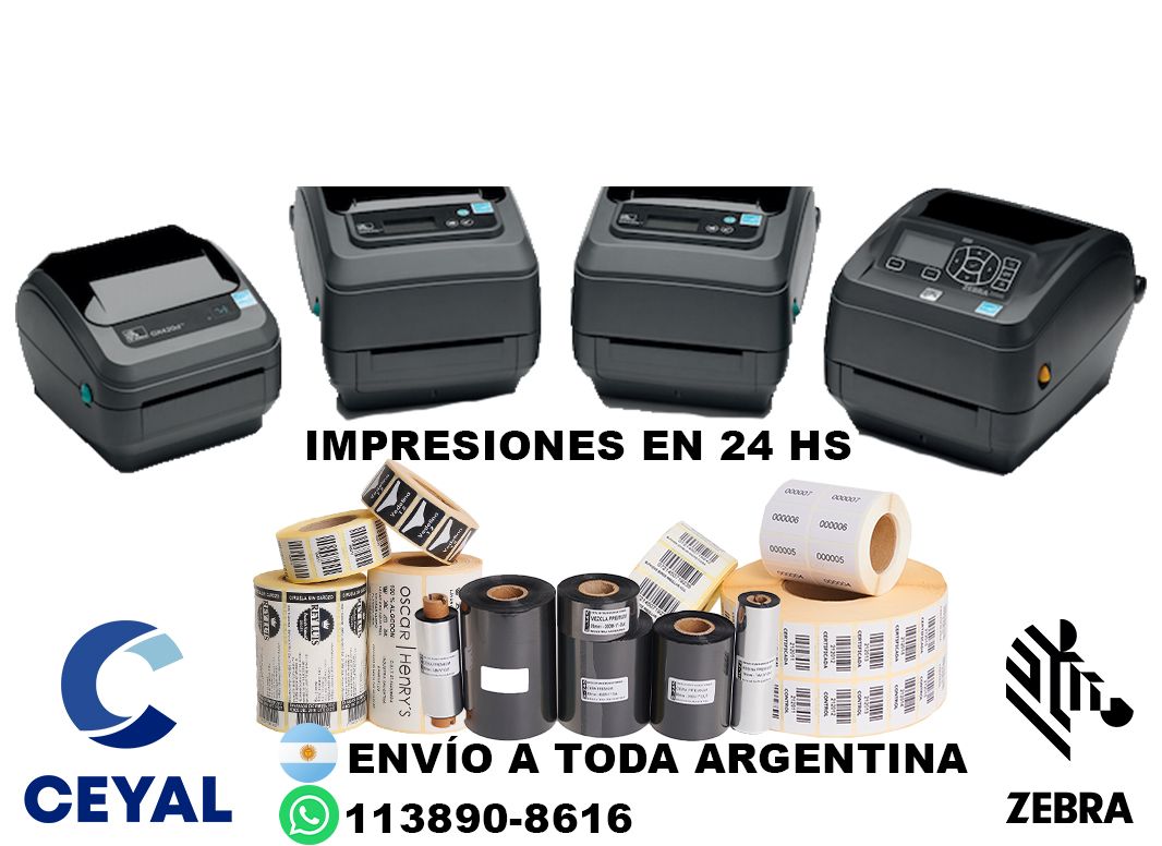 40265 Descargar Zebra Designer Pro gratis en Español