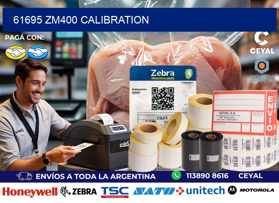 61695 ZM400 Calibration