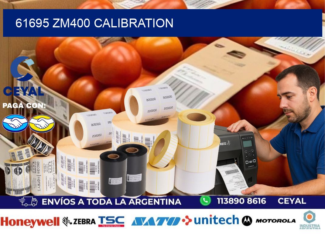 61695 ZM400 Calibration