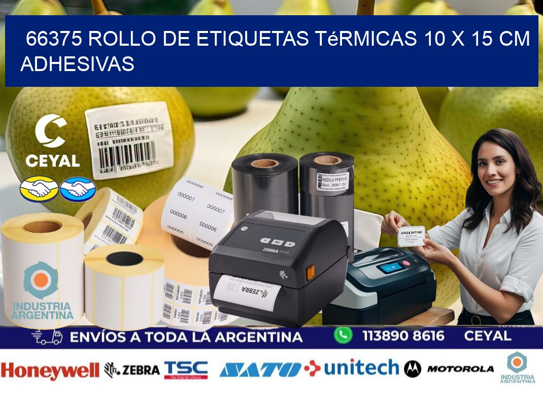 66375 Rollo de Etiquetas Térmicas 10 x 15 cm Adhesivas