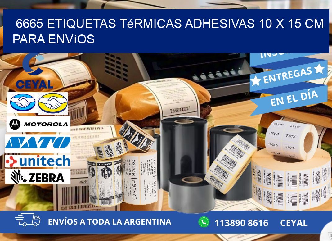 6665 Etiquetas Térmicas Adhesivas 10 x 15 cm para Envíos