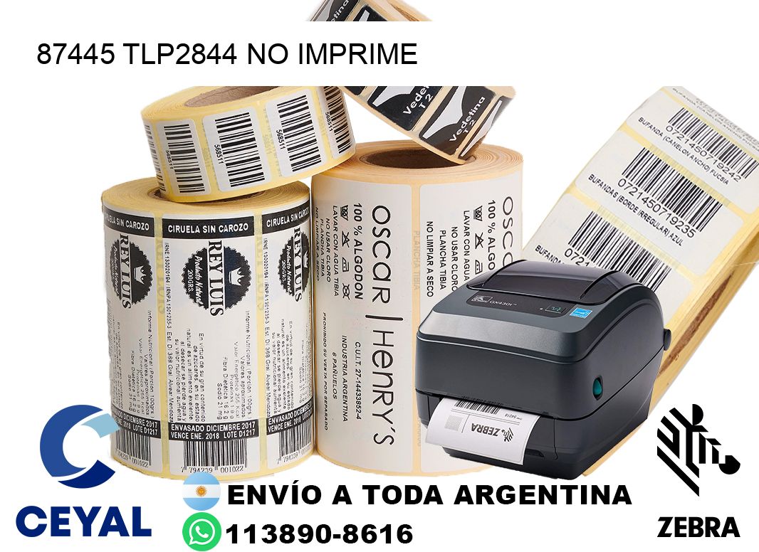 87445 TLP2844 no imprime
