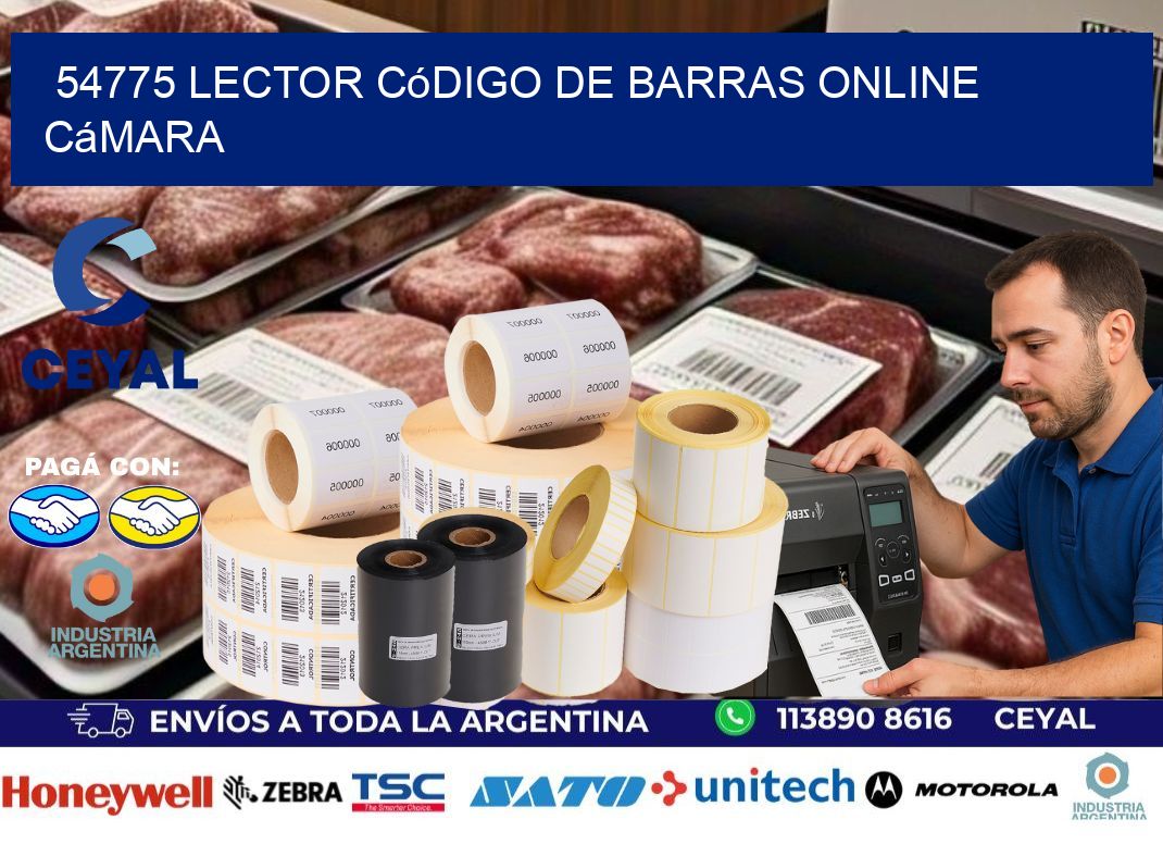 54775 Lector código de barras online cámara