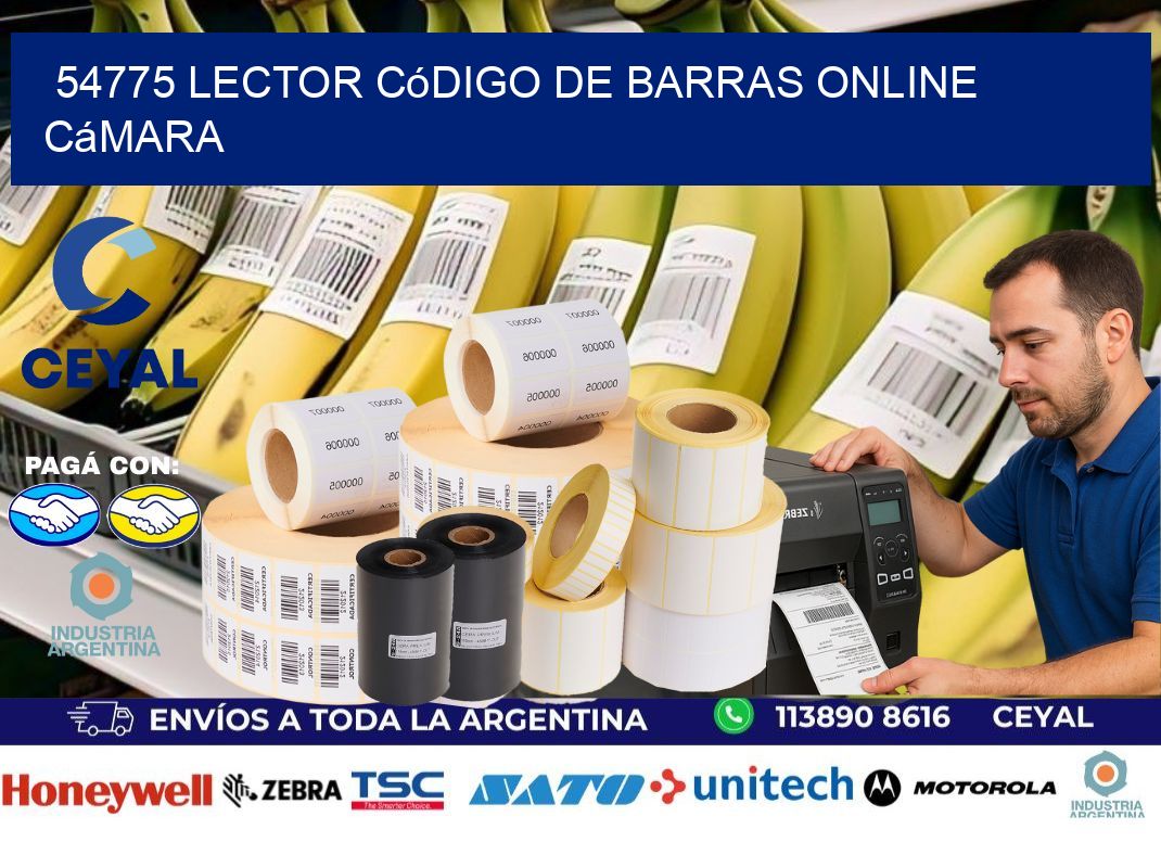 54775 Lector código de barras online cámara