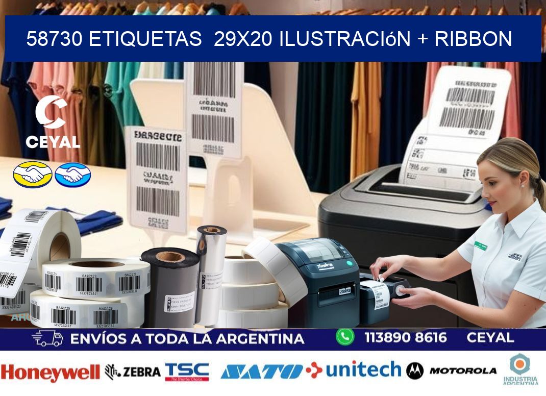 58730 etiquetas  29x20 ilustración + ribbon